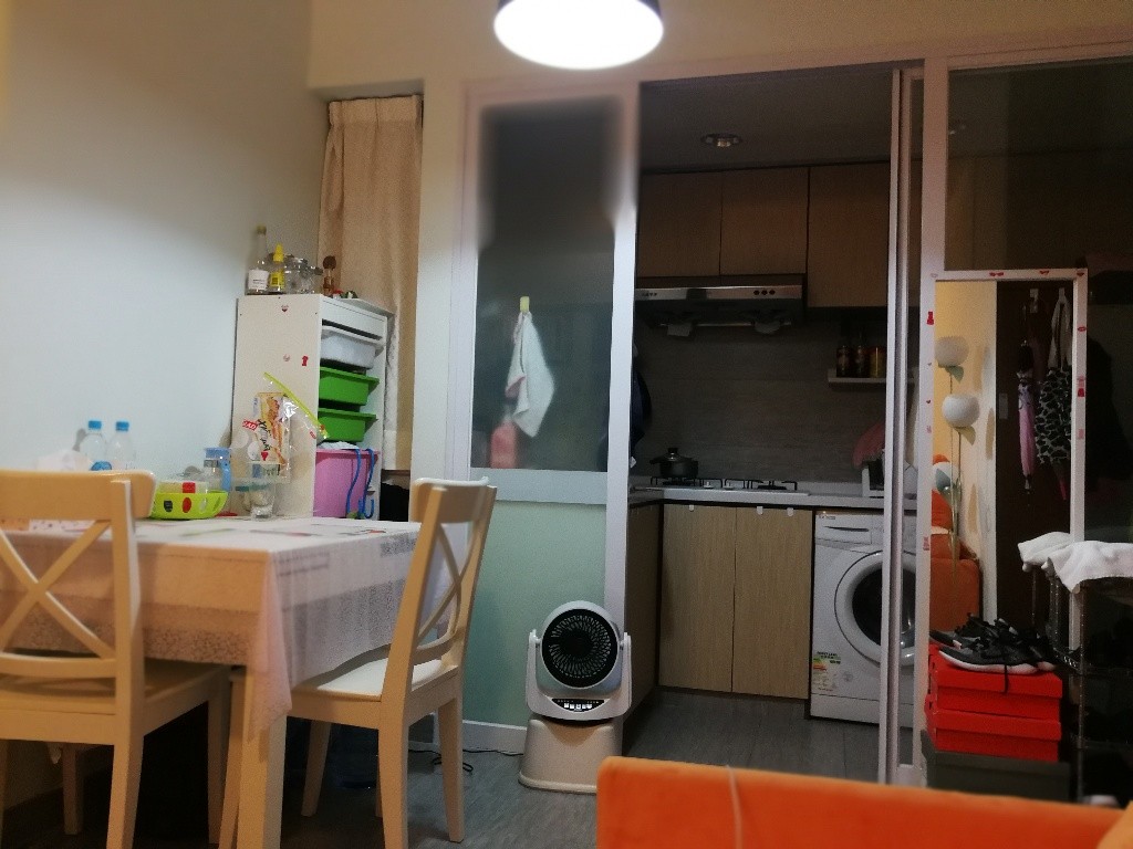 Looking for a female roommate - 北角 - 住宅 (整間出租) - Homates 香港