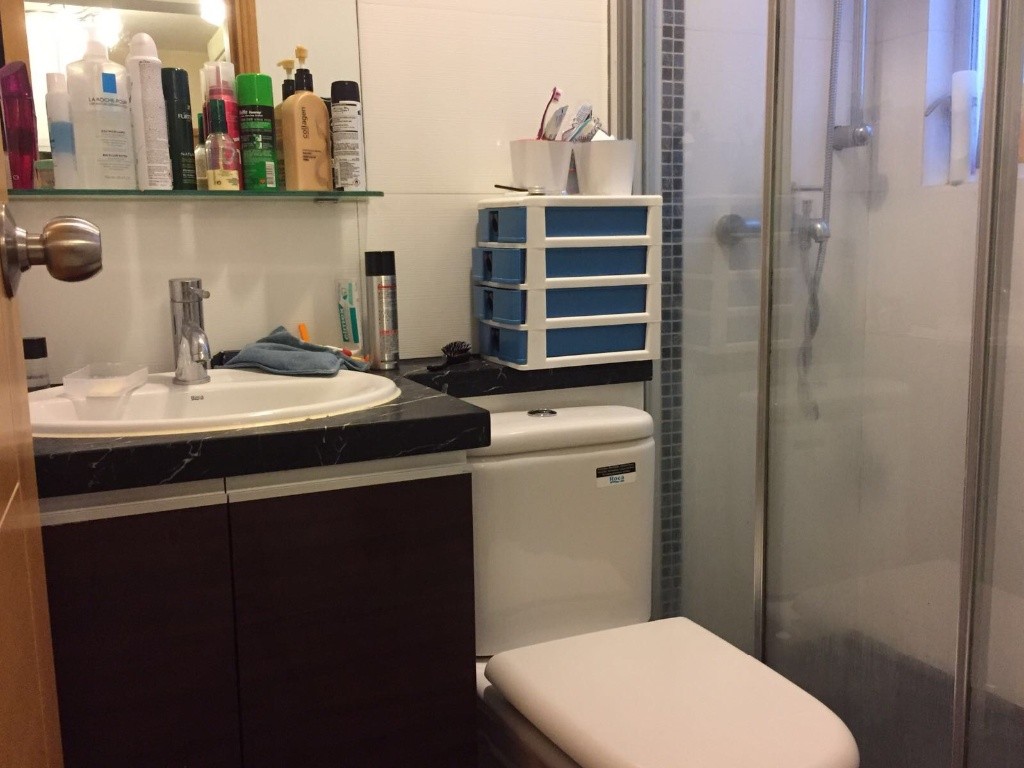 Spacious Master bedroom in a spacious 2BR flat available now, great neighborhood! - 湾仔 - 房间 (合租／分租) - Homates 香港