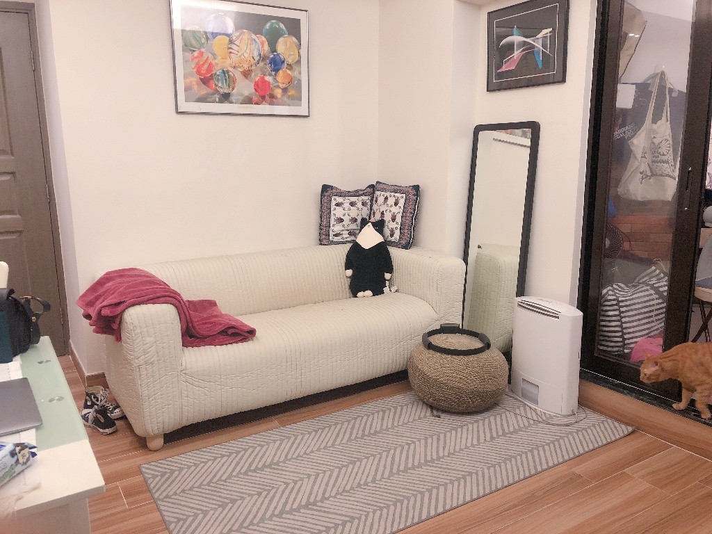 Cat Lovers Alert - Private Bedroom in Newly Renovated Flat - 土瓜灣 - 房間 (合租／分租) - Homates 香港