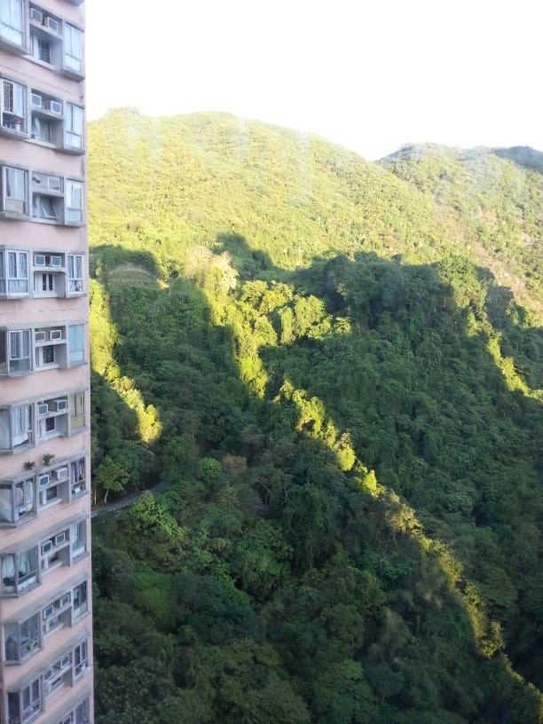 高層三房，翠綠山景，全新裝修 - 鰂魚涌 - 住宅 (整間出租) - Homates 香港