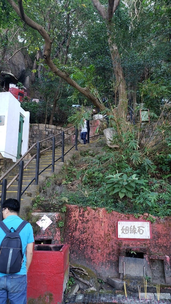 繁市中15分鐘的低密度郊野公寓，只適合有要求的你/我/他 - 中半山/金鐘 - 住宅 (整間出租) - Homates 香港