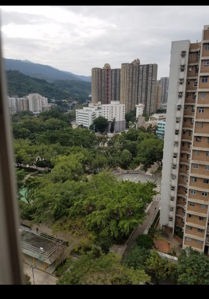 高層開揚 企理裝修 - 大埔/太和 - 住宅 (整間出租) - Homates 香港