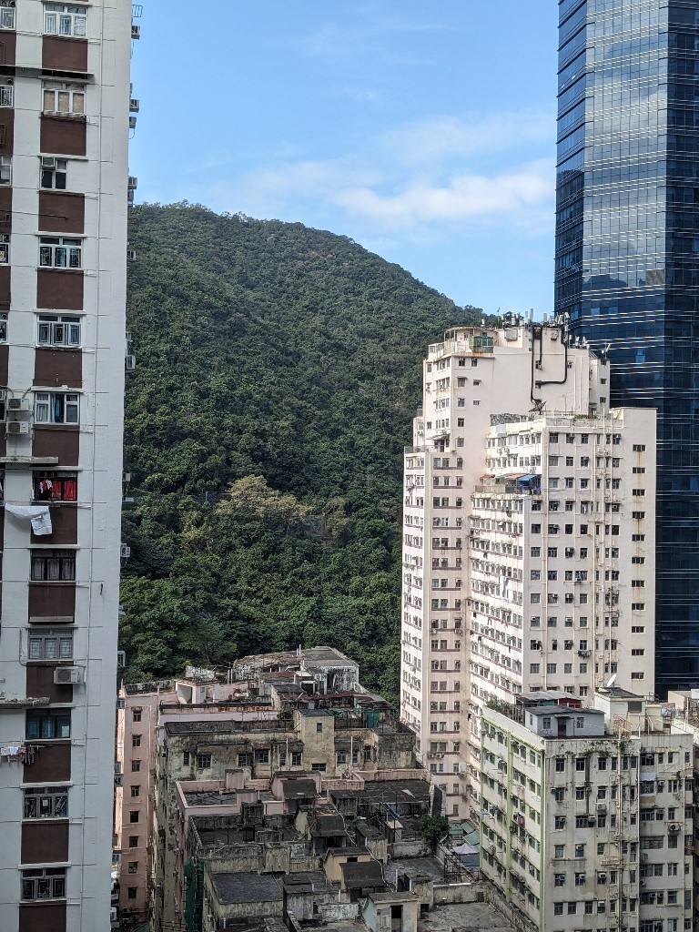 鰂魚涌華蘭花園罕有放租 • 高層靚裝 • 家電齊備 - 鰂魚涌 - 住宅 (整間出租) - Homates 香港