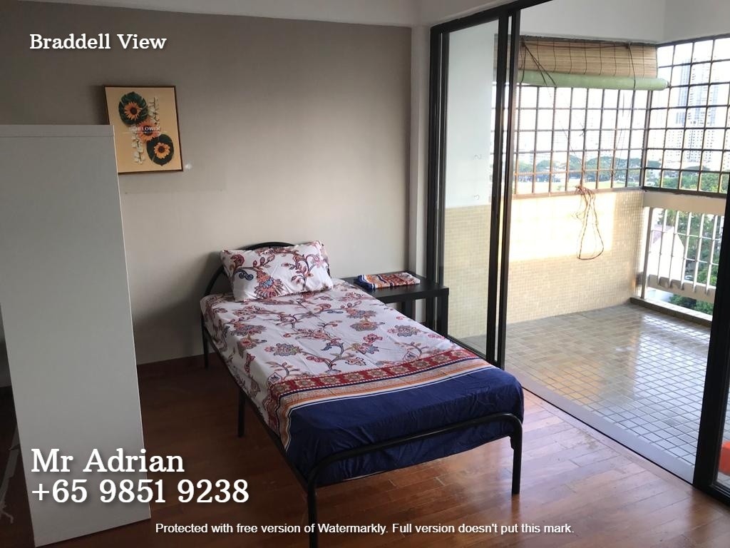 common-room-for-rent-caldecott-mrt-braddell-view-caldecott