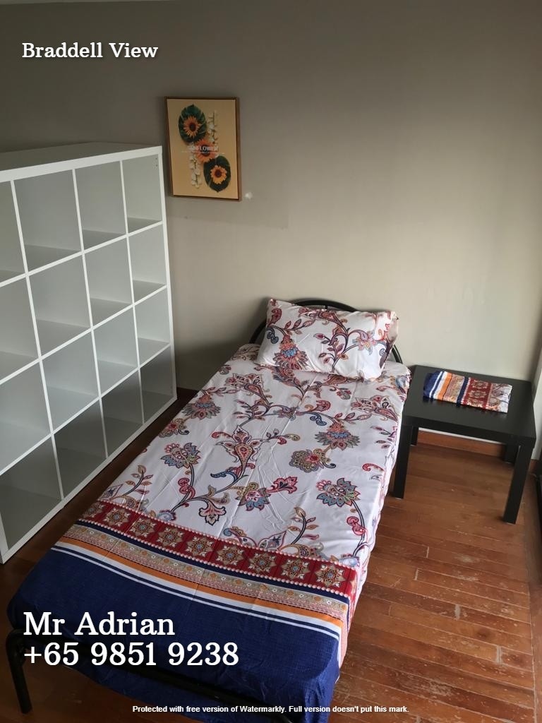 Common Room for Rent - Caldecott MRT - Braddell View - Caldecott ...