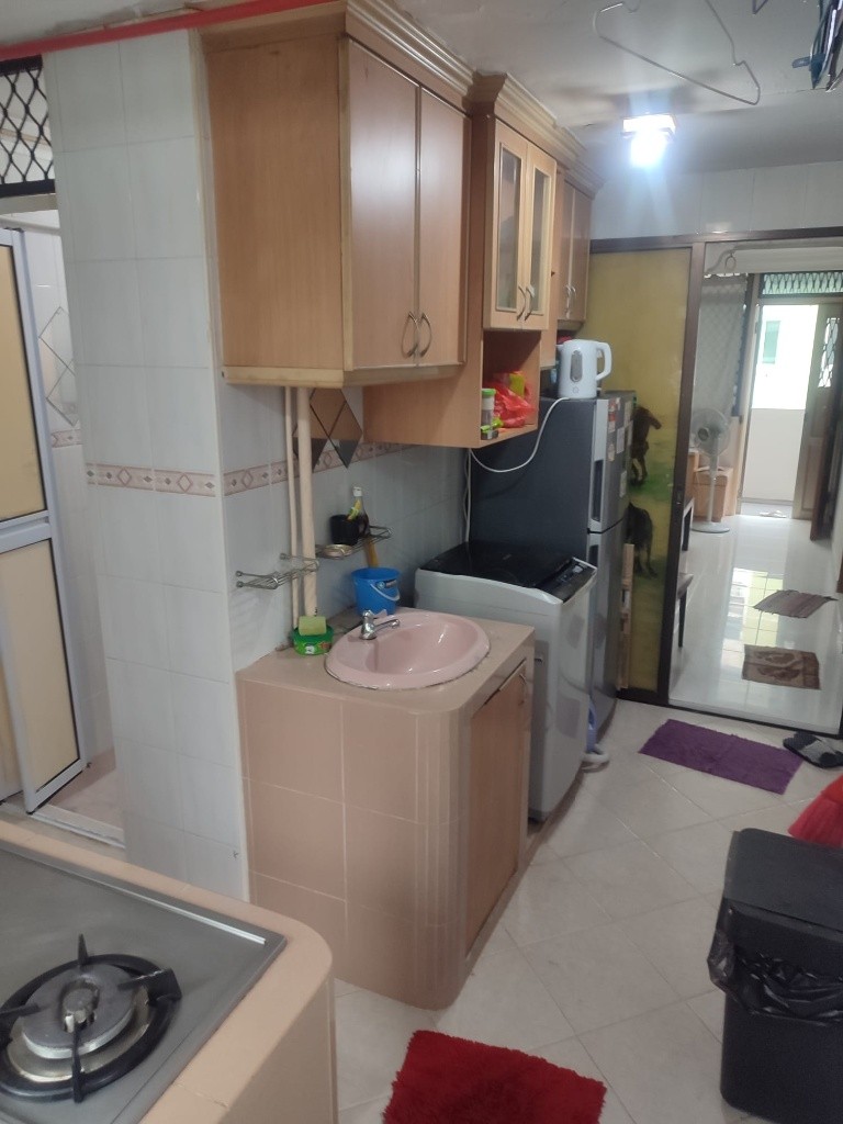 Tiong Bahru MRT / Havelock MRT / Great World MRT / Available 01 June - Tiong Bahru 中嗒鲁 - 整个住家 - Homates 新加坡