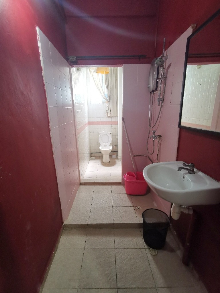 Immediate Available - Common Room/Strictly Single Occupancy/no Owner Staying/No Agent Fee/Cooking allowed/Near Somerset MRT/Newton MRT/Dhoby Ghaut MRT - Newton 纽顿 - 分租房间 - Homates 新加坡