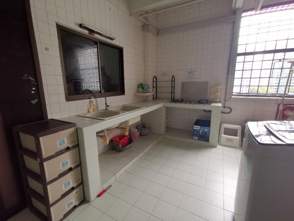 Immediate Available - Common Room/Strictly Single Occupancy/no Owner Staying/No Agent Fee/Cooking allowed/Near Somerset MRT/Newton MRT/Dhoby Ghaut MRT - Newton 纽顿 - 分租房间 - Homates 新加坡