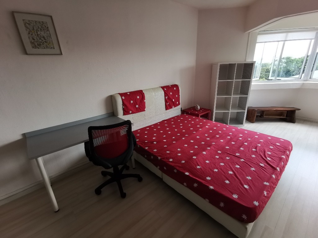 Available 22 June - Common Room/FOR 1 PERSON STAY ONLY/Wifi/No owner staying/No Agent Fee/Cooking allowed/ Chinese Garden MRT/Jurong East MRT/Jurong West MRT - Clementi - Bedroom - Homates Singapore