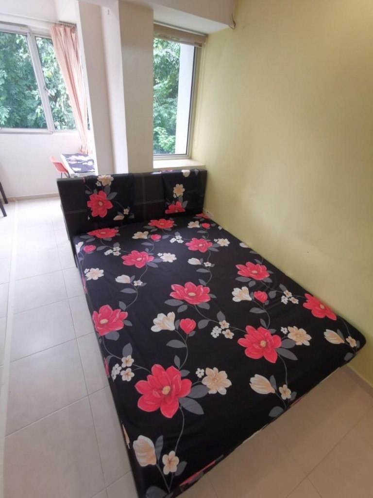 Dover / Clementi / Bukit Timah - Balcony Room. Pine Grove, swimming pool &amp; gym, *Avail 16Jan - Clementi 金文泰 - 整个住家 - Homates 新加坡