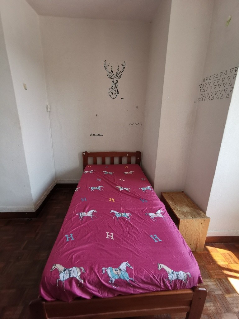 Common Room/Strictly Single Occupancy/no Owner Stay/No Agent Fee/Cooking allowed/Near Clementi MRT/Dover MRT/AVAILABLE 1Aug - Clementi 金文泰 - 分租房间 - Homates 新加坡