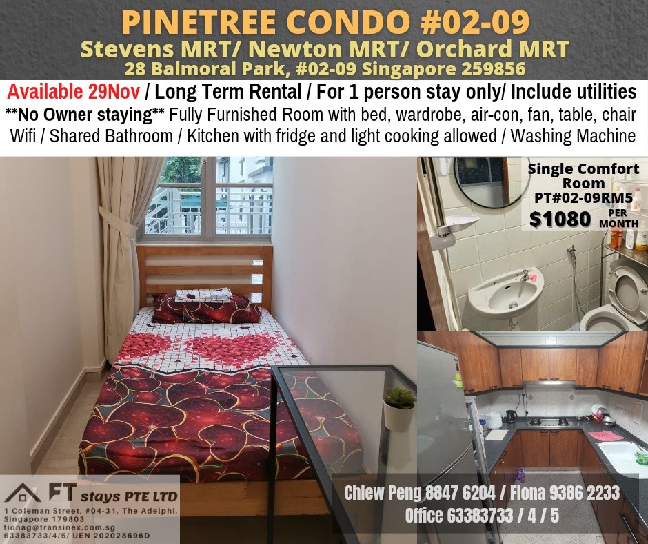 Newton MRT/Near Orchard MRT/Stevens MRT - Common Room 1 Pax, Pinetree Condo, Available 29 Nov, Property, Rentals, Room Rentals on Carousell - Stevens 史蒂芬 - 分租房间 - Homates 新加坡