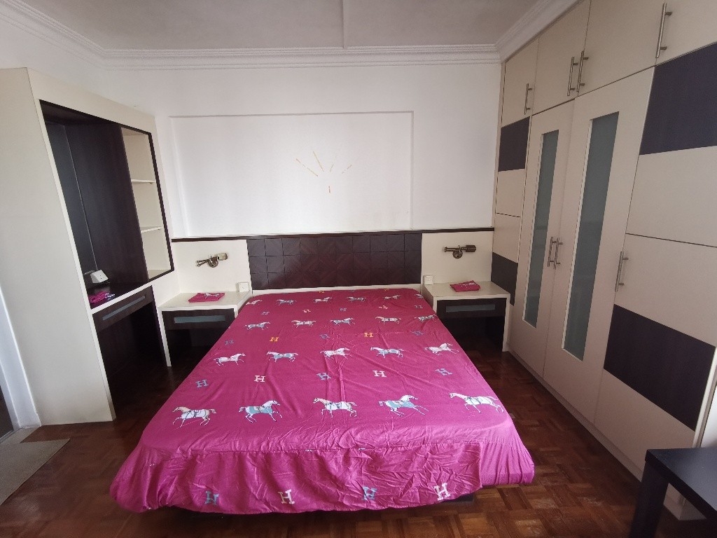 Outram MRT/Tanjong Pagar MRT/Chinatown MRT/Master Room/ Available 17 Dec/ No Agent Fee - Tanjong Pagar 丹戎巴葛 - 分租房间 - Homates 新加坡